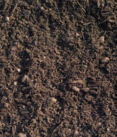 Premium topsoil collected or delivered