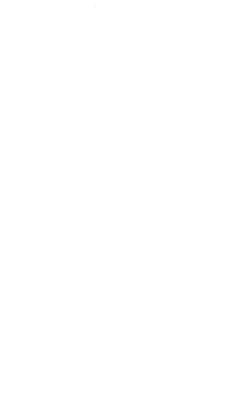 phoneicon